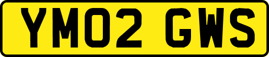 YM02GWS