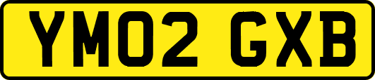 YM02GXB