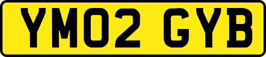 YM02GYB