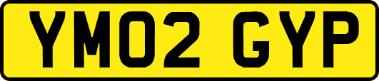YM02GYP