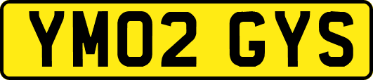 YM02GYS