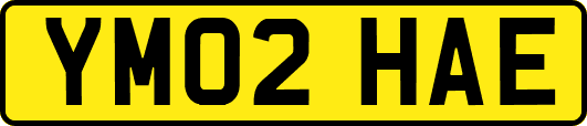 YM02HAE