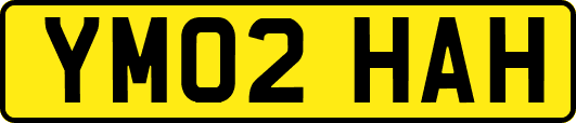 YM02HAH