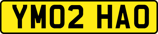 YM02HAO