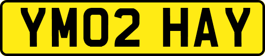 YM02HAY