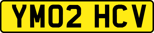 YM02HCV