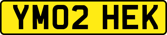 YM02HEK