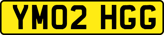 YM02HGG