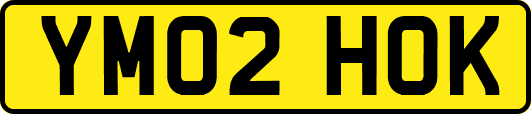 YM02HOK