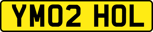YM02HOL
