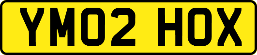YM02HOX