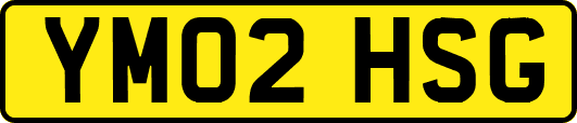 YM02HSG