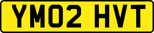 YM02HVT