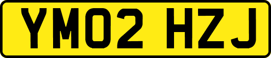 YM02HZJ