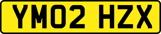 YM02HZX
