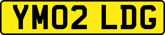 YM02LDG