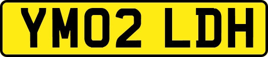 YM02LDH
