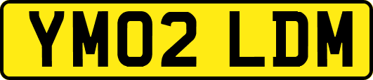 YM02LDM