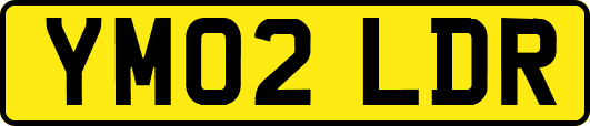 YM02LDR