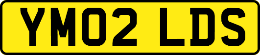 YM02LDS