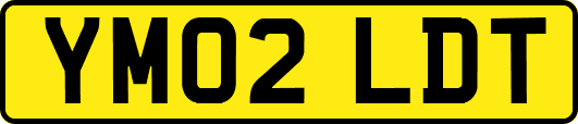 YM02LDT