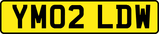 YM02LDW