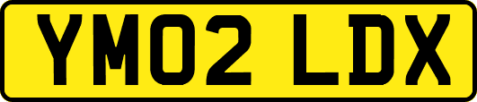 YM02LDX