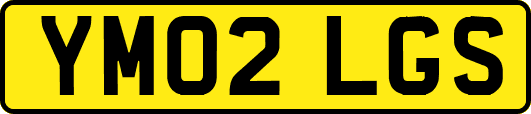 YM02LGS