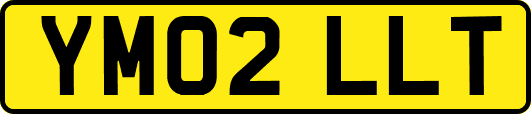 YM02LLT
