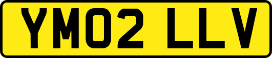 YM02LLV