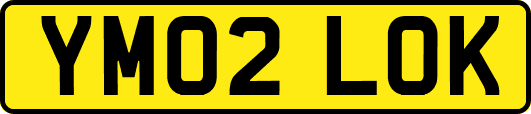 YM02LOK