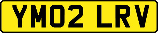 YM02LRV
