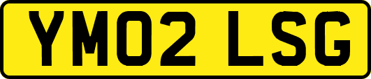 YM02LSG