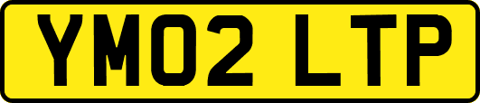 YM02LTP
