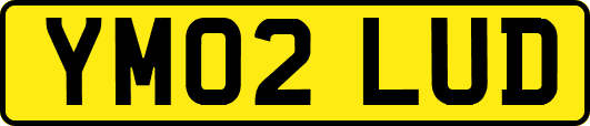 YM02LUD