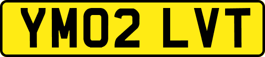 YM02LVT