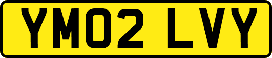 YM02LVY