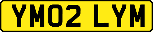 YM02LYM