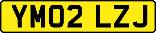 YM02LZJ