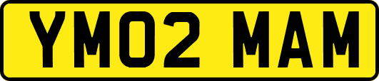 YM02MAM