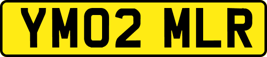 YM02MLR
