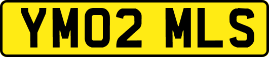 YM02MLS