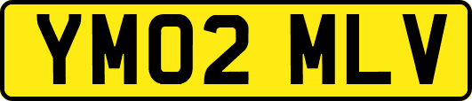 YM02MLV