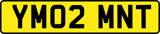 YM02MNT