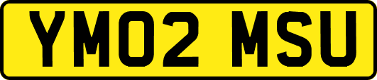 YM02MSU