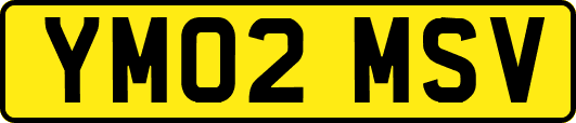 YM02MSV