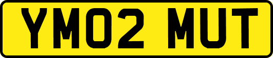 YM02MUT