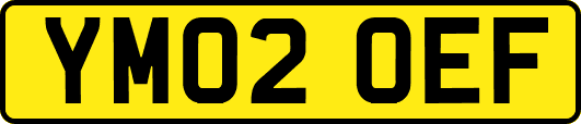 YM02OEF