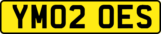 YM02OES