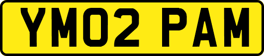YM02PAM